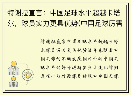 特谢拉直言：中国足球水平超越卡塔尔，球员实力更具优势(中国足球厉害)