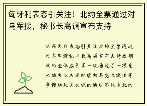 匈牙利表态引关注！北约全票通过对乌军援，秘书长高调宣布支持